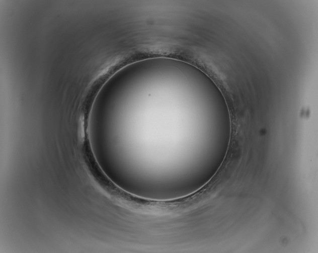 X0000097490020200802221425