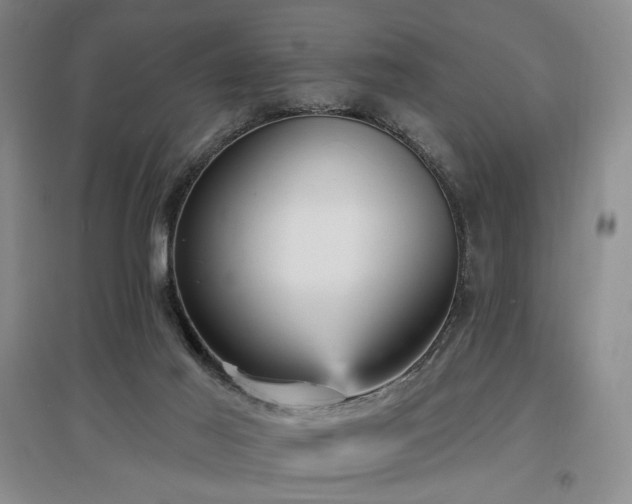 X0000097490021200802221425