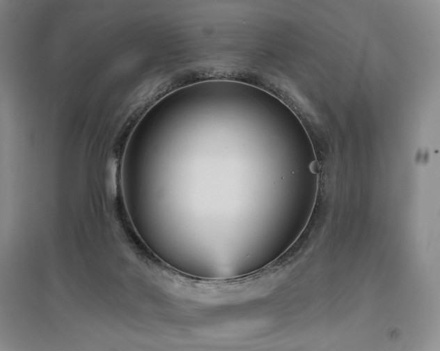 X0000097490022200802221425