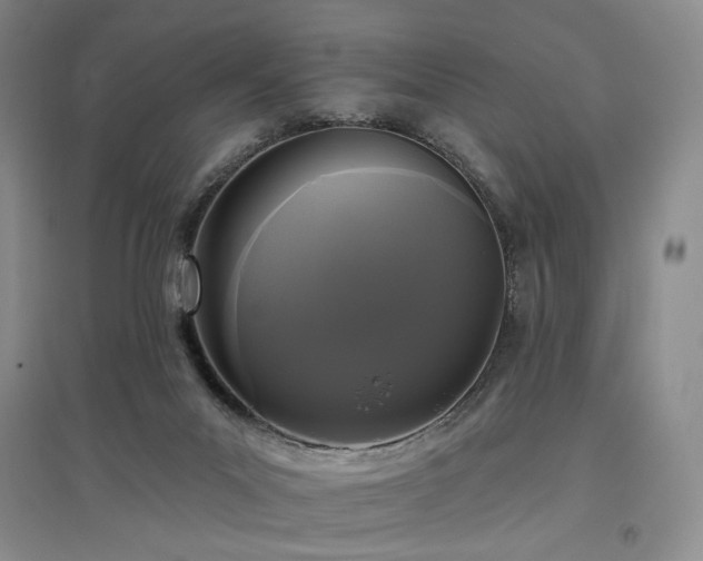 X0000097490023200802221425