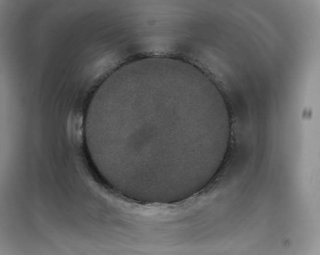 X0000097490024200802221425