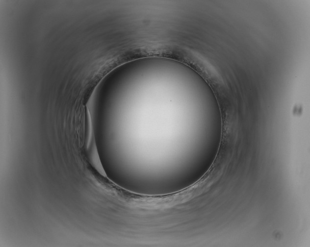 X0000097490025200802221425