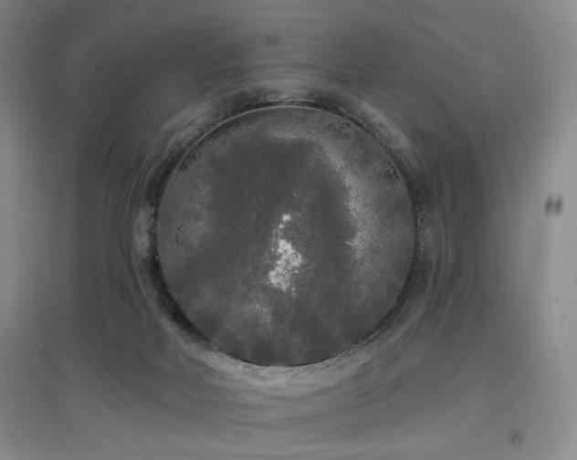 X0000097490026200802221425