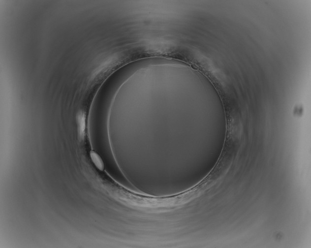 X0000097490027200802221425