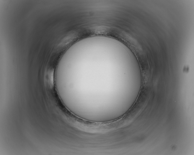 X0000097490028200802221425