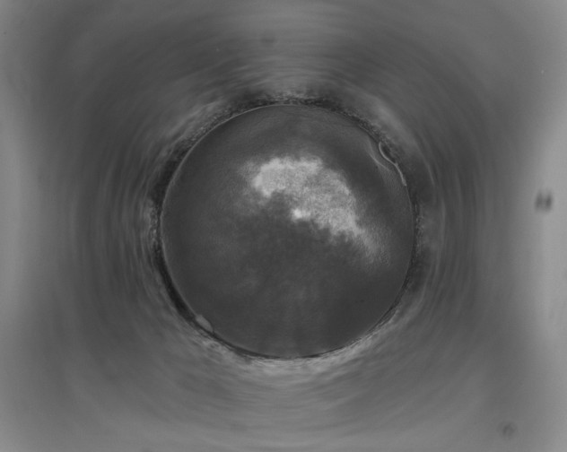 X0000097490029200802221425