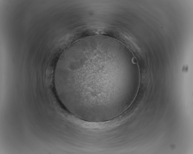 X0000097490030200802221425