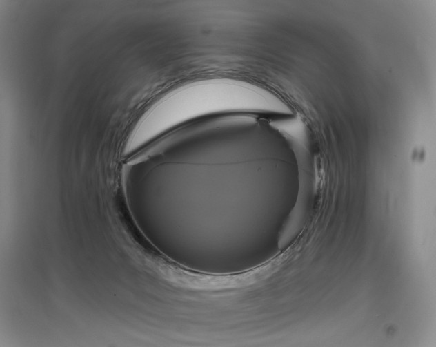 X0000097490031200802221425