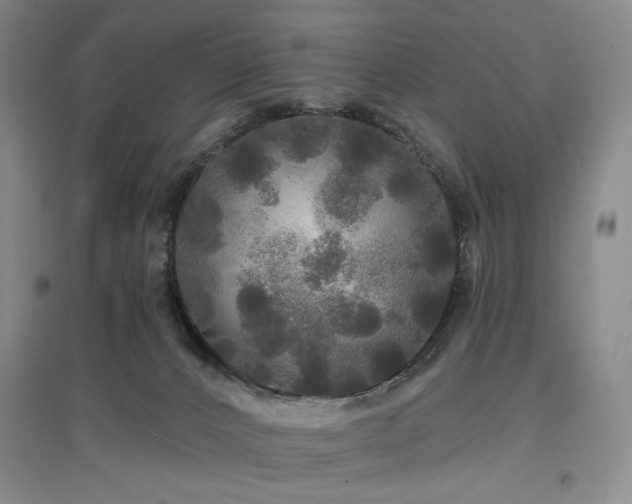 X0000097490032200802221425