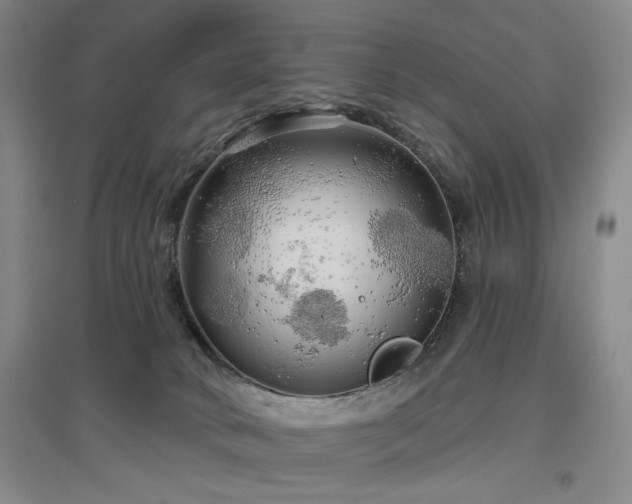 X0000097490034200802221425