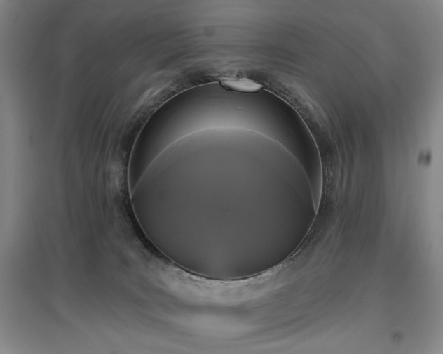 X0000097490035200802221425