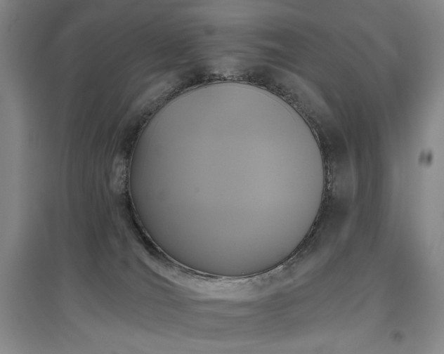 X0000097490036200802221425