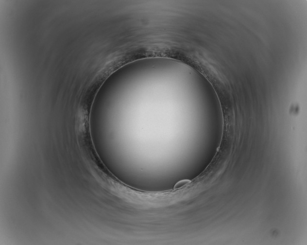 X0000097490038200802221425