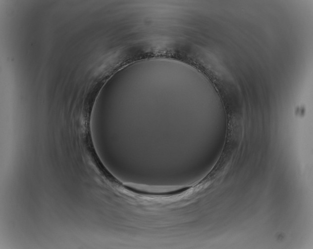 X0000097490039200802221425