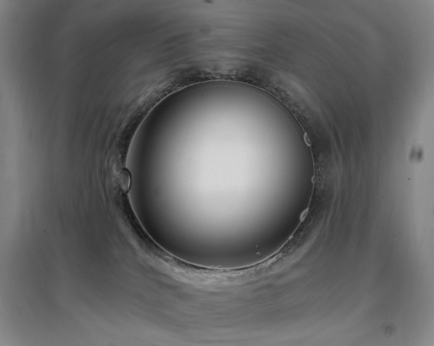 X0000097490040200802221425