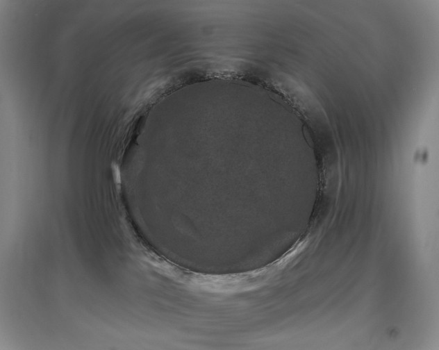 X0000097490041200802221425