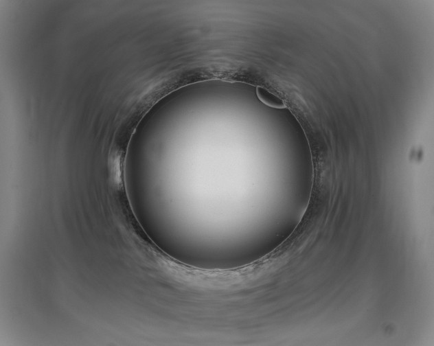 X0000097490042200802221425