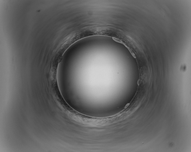 X0000097490044200802221425