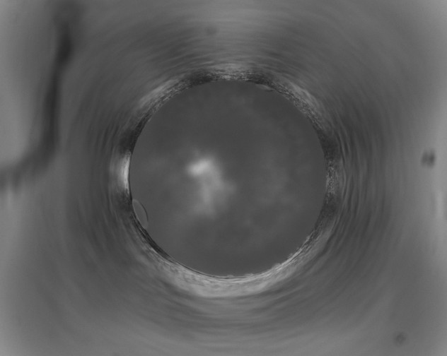 X0000097490047200802221425