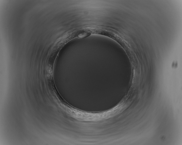 X0000097490048200802221425