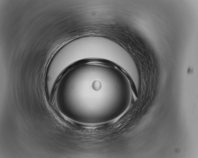 X0000097490049200802221424