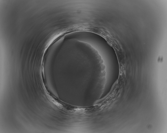 X0000097490052200802221424