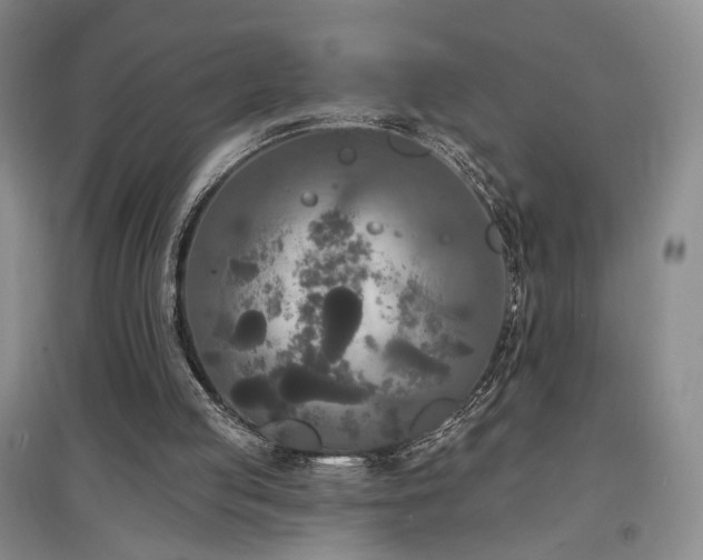 X0000097490053200802221424