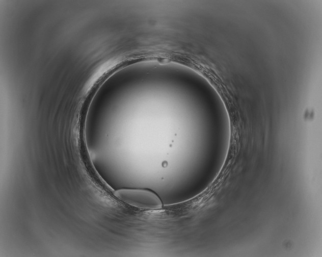 X0000097490054200802221424