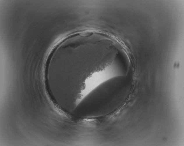 X0000097490055200802221424