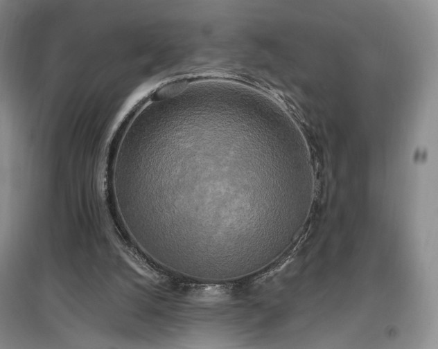 X0000097490056200802221424