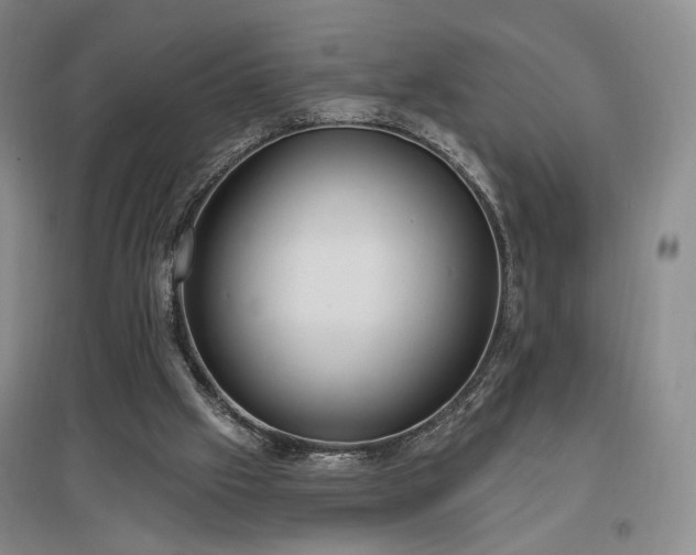 X0000097490057200802221424