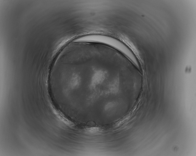 X0000097490058200802221424