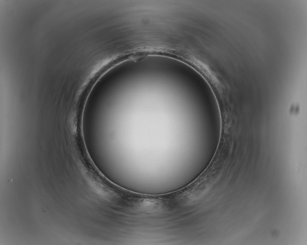 X0000097490060200802221424