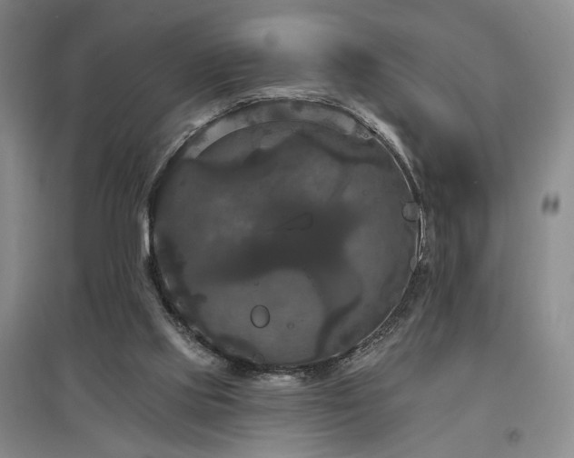 X0000097490061200802221424