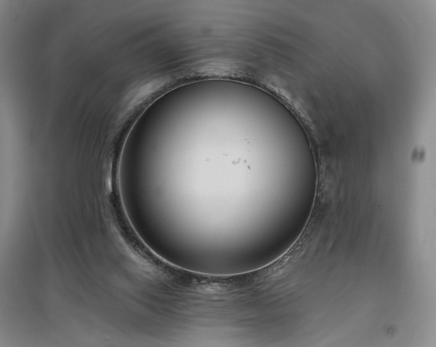 X0000097490062200802221424