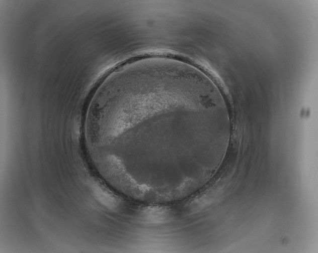 X0000097490063200802221424