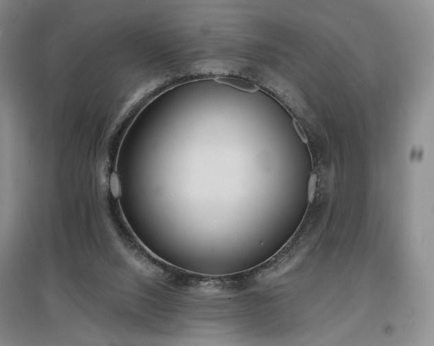 X0000097490064200802221424