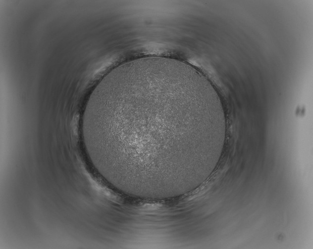 X0000097490066200802221424