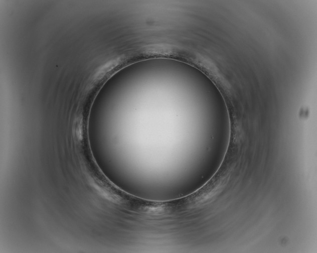 X0000097490068200802221424