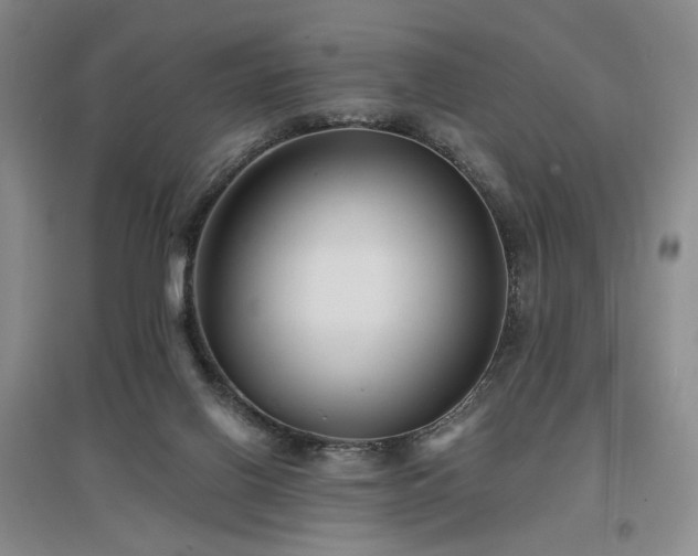 X0000097490070200802221424