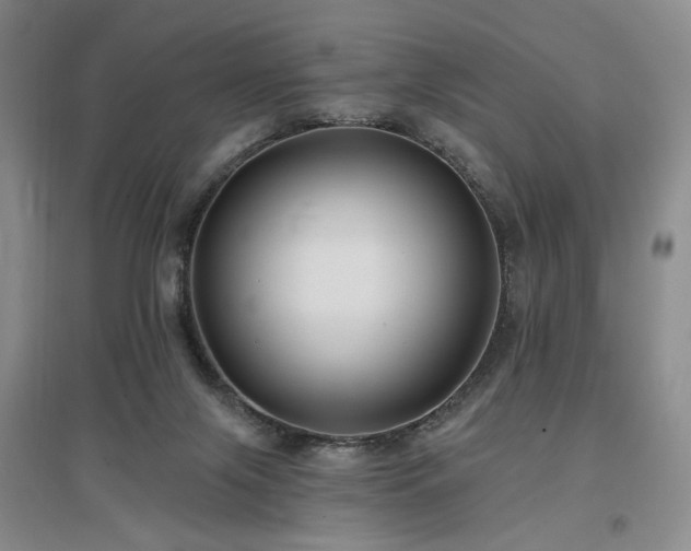 X0000097490071200802221425