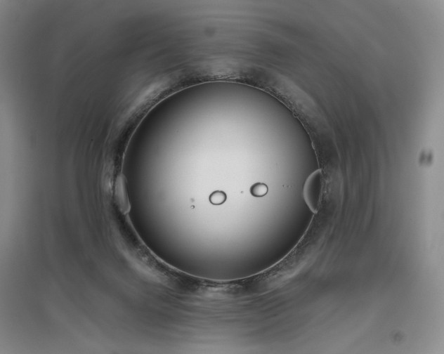 X0000097490072200802221425