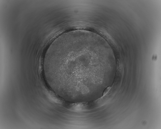 X0000097490074200802221425