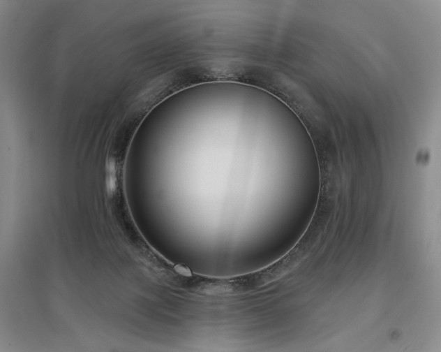 X0000097490075200802221425