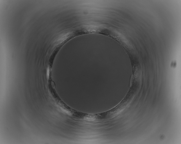 X0000097490076200802221425