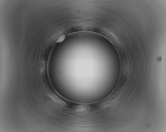 X0000097490077200802221425