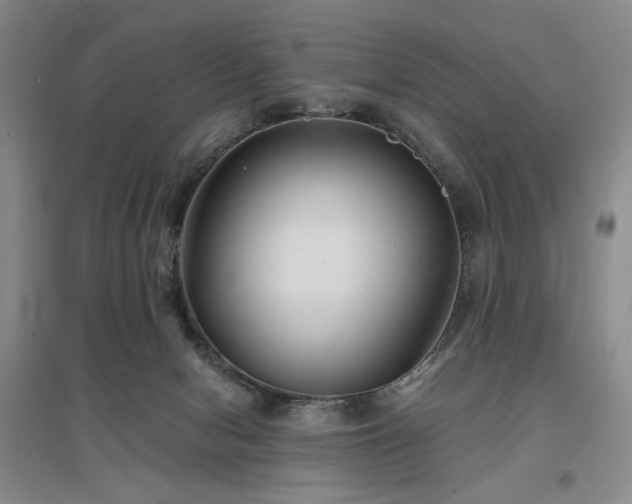 X0000097490078200802221425