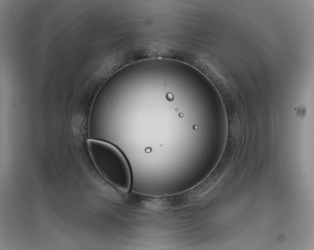 X0000097490079200802221425