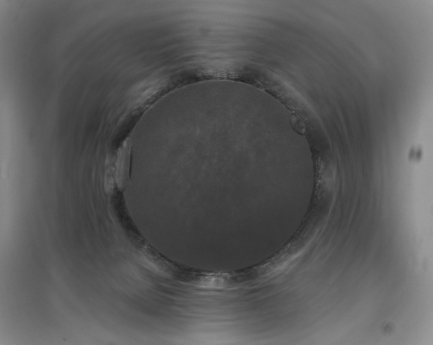 X0000097490080200802221425