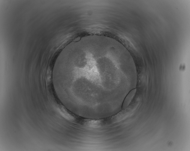 X0000097490081200802221425